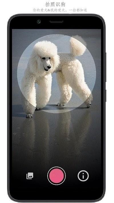 万物识别软件下载,万物识别,识别app