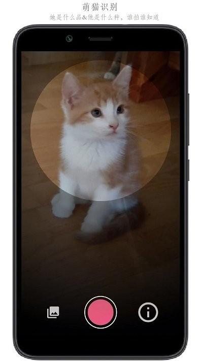 万物识别软件下载,万物识别,识别app